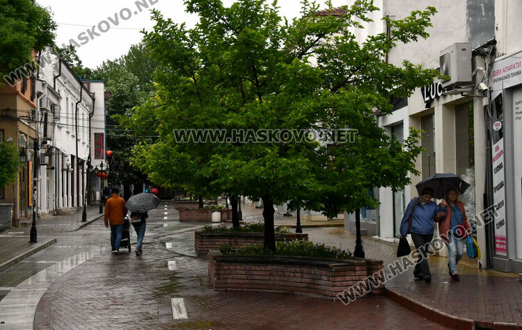 Дъжд и жълт код за силен вятър в Хасковско в петък 