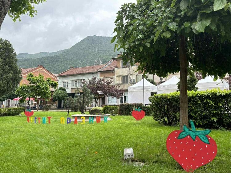 Голям интерес на Фестивала на ягодата в Кричим