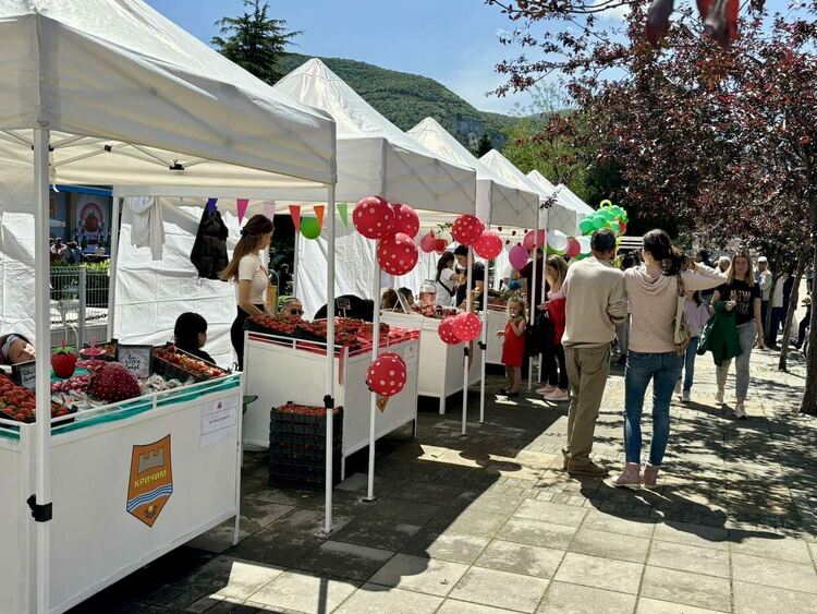 Голям интерес на Фестивала на ягодата в Кричим