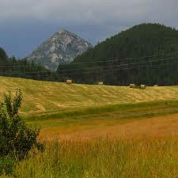 Изкачване до първенеца на Краище - връх Било, организира тази събота Трънското туристическо дружество