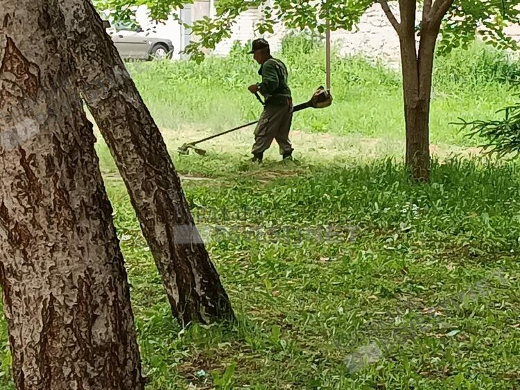 Безпрецедентно!Косят тревата в междублоковите пространства на Кърджали