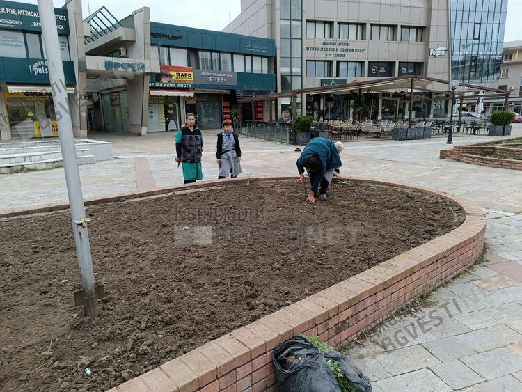 Засаждат летни цветя в градинките на Кърджали,предпочитат петуния и далия