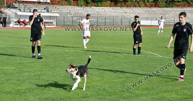 „Саяна Хасково“ писа шестица на „Сокол“