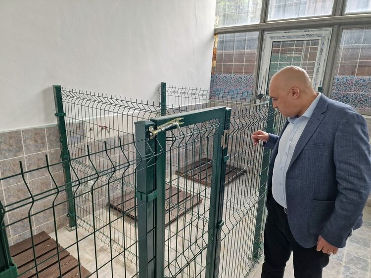 Кърджали с временен приют за безстопанствени кучета