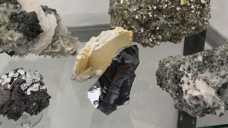 Редки кристали подредиха колекционери на площада в Мадан