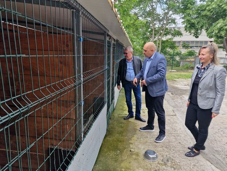 Кърджали с временен приют за безстопанствени кучета