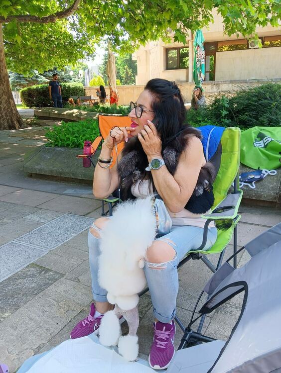 Пудел е големият победител в киноложката изложба