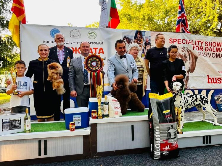 Пудел е големият победител в киноложката изложба