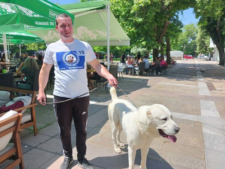 Пудел е големият победител в киноложката изложба