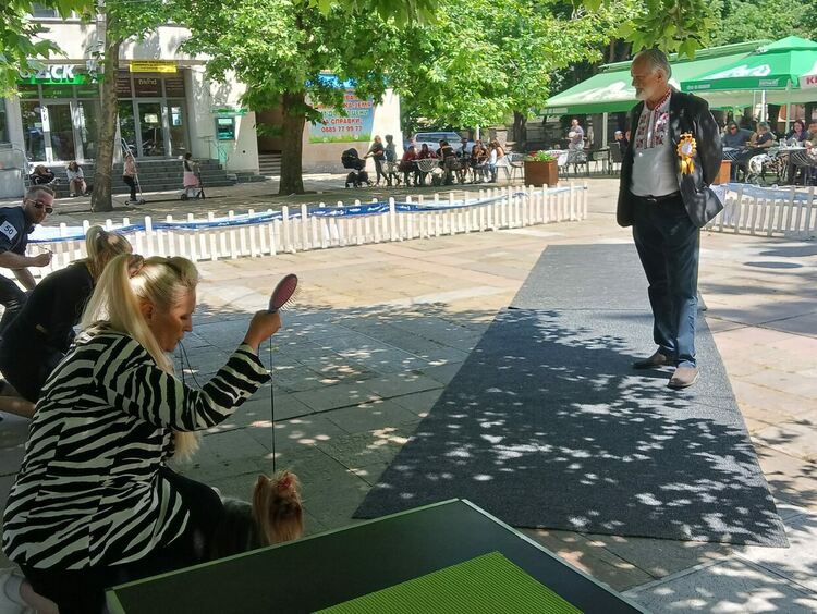 Пудел е големият победител в киноложката изложба