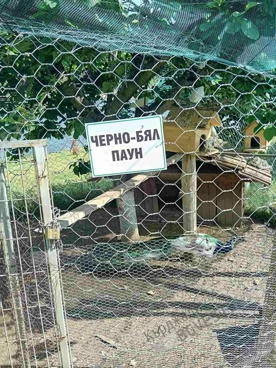 Хотел край Арда привлича туристи със зоологическа градина