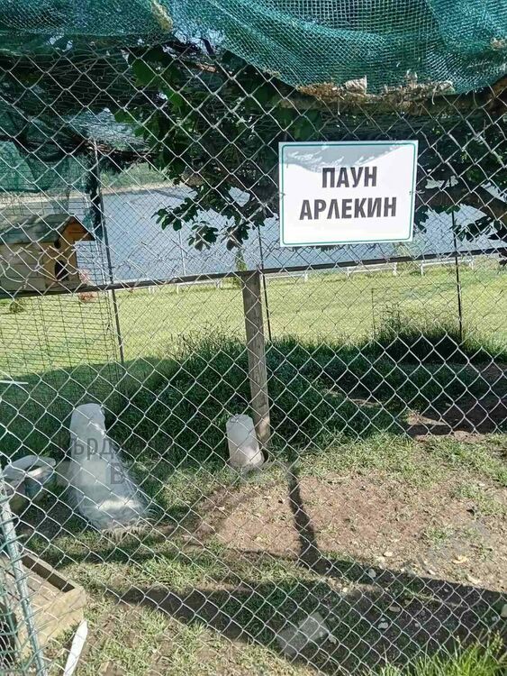 Хотел край Арда привлича туристи със зоологическа градина