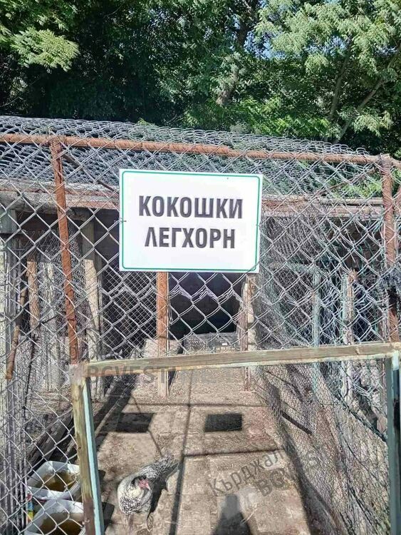 Хотел край Арда привлича туристи със зоологическа градина