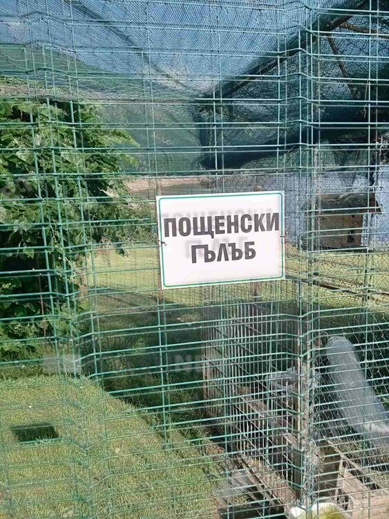 Хотел край Арда привлича туристи със зоологическа градина