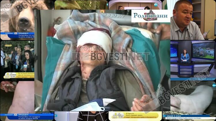 Тази вечер в "Истории извън новините" - Да оцелееш или останеш в спомен след нападение от мечка