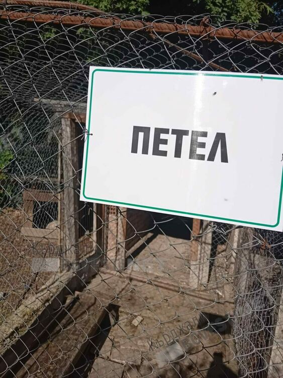 Хотел край Арда привлича туристи със зоологическа градина