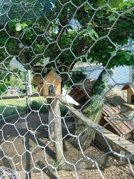 Хотел край Арда привлича туристи със зоологическа градина