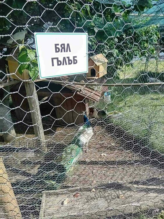 Хотел край Арда привлича туристи със зоологическа градина