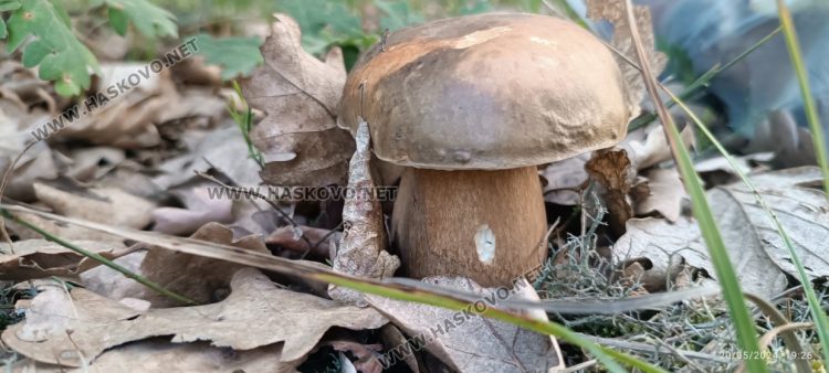 Облаци и слънце се редуват във вторник