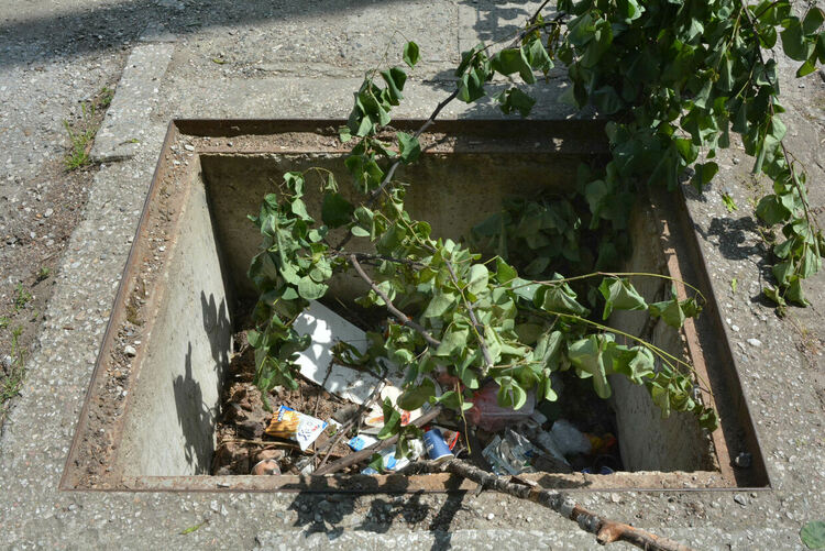 Хасковлийка сигнализира за опасни шахти на тротоара по бул. „Васил Левски“ 