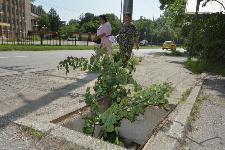 Хасковлийка сигнализира за опасни шахти на тротоара по бул. „Васил Левски“ 