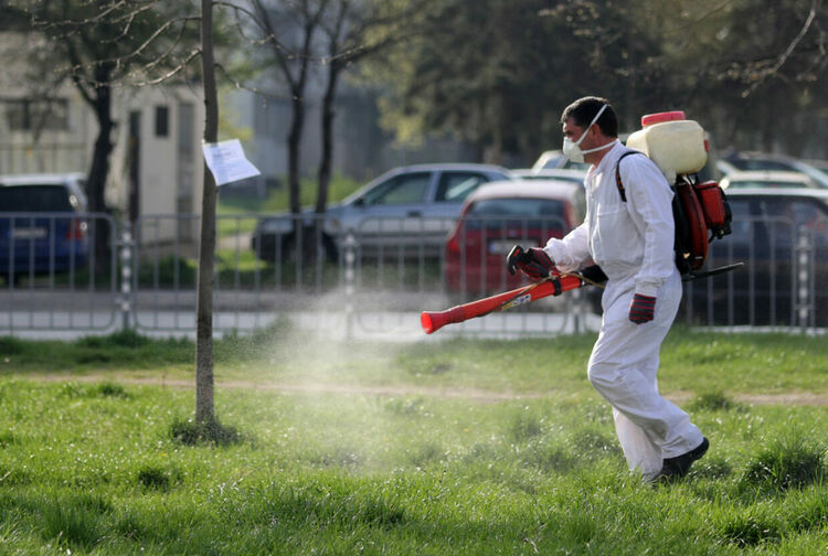В Димитровград ще пръскат срещу комари и кърлежи