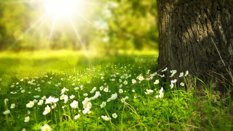 Предимно слънчево време в сряда