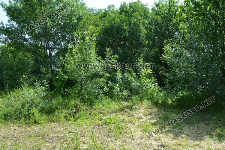 Започна ремонт на църквата в село Стамболийски