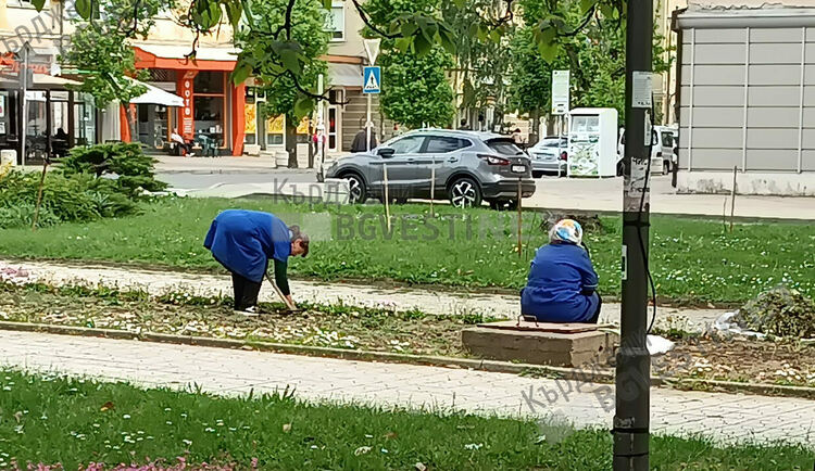 218 са свободните позиции на трудовата борса в Кърджали, търсят се озеленители