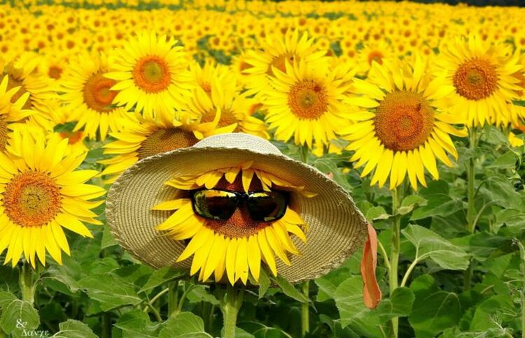 Предимно слънчево време в петък и с температури до 30 градуса