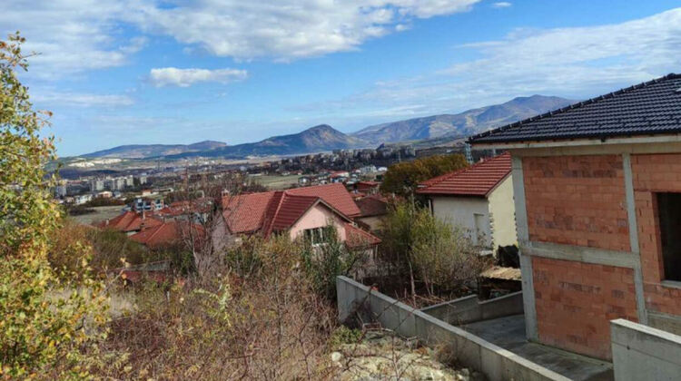 Мъртво куче се разлага в центъра на Резбарци,жителите на селото чакат три дни за да вдигнат трупа му