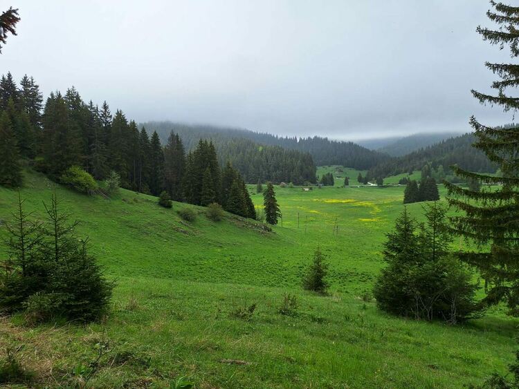 Община Чепеларе посреща туристите си с нова екопътека /галерия/