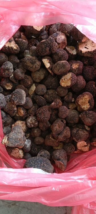 Откриха 60 кг контрабандни трюфели в кола