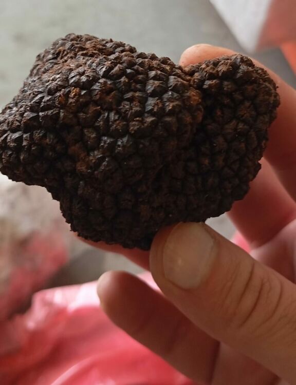 Сникми: Агенция „Митници“