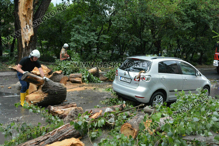 Част от дърво се отчупи в бурята и падна върху кола в Хасково