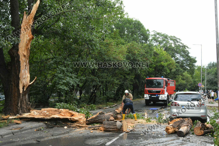 Част от дърво се отчупи в бурята и падна върху кола в Хасково