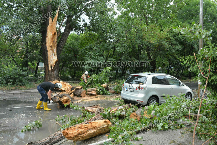Част от дърво се отчупи в бурята и падна върху кола в Хасково