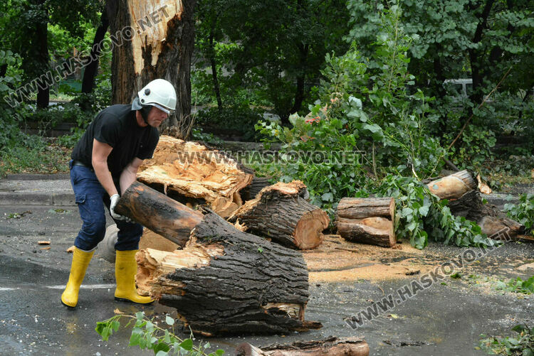 Част от дърво се отчупи в бурята и падна върху кола в Хасково