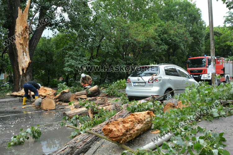 Част от дърво се отчупи в бурята и падна върху кола в Хасково