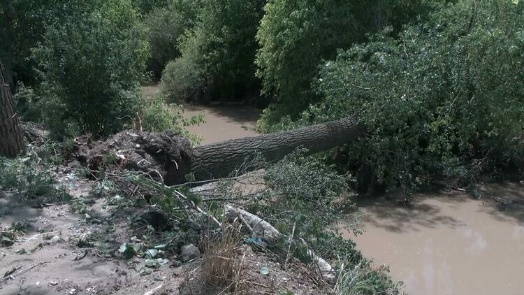 Градушка колкото орех унищожи посевите в село Динево
