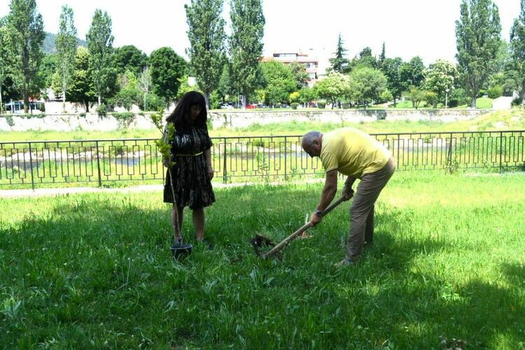 Засадиха дръвчета за Деня на екологията в Асеновград 