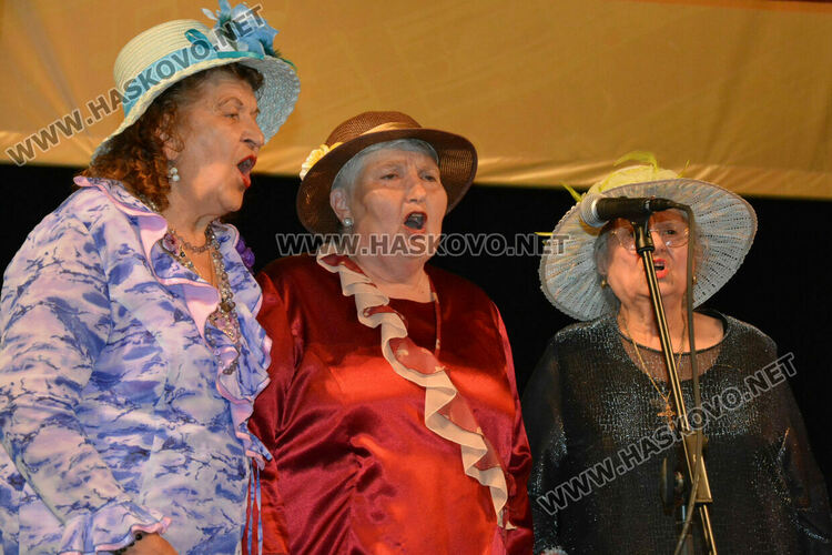 С поднасяне на цветя и изява на хасковска група започна фестивалът „С песните на Ари“ 