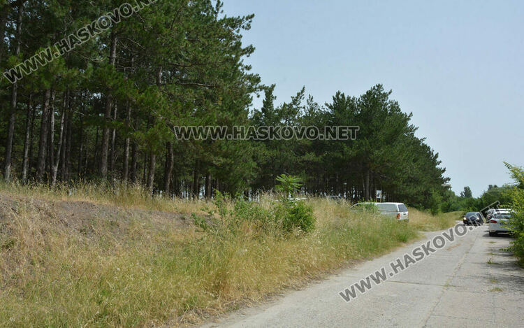 ЕСО-Хасково с поредна екоинициатива, облагородиха гората над кв. „Македонски“ 