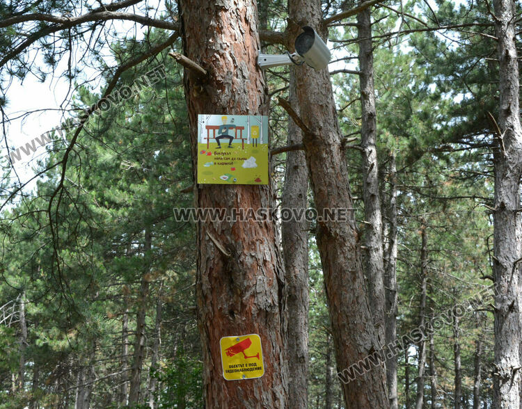 ЕСО-Хасково с поредна екоинициатива, облагородиха гората над кв. „Македонски“ 