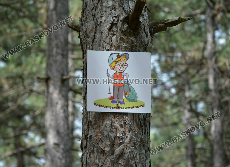 ЕСО-Хасково с поредна екоинициатива, облагородиха гората над кв. „Македонски“ 