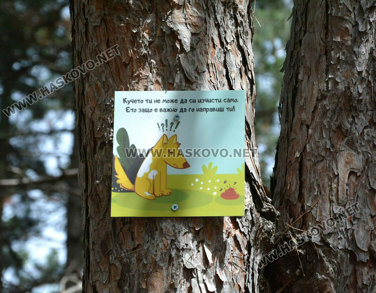 ЕСО-Хасково с поредна екоинициатива, облагородиха гората над кв. „Македонски“ 