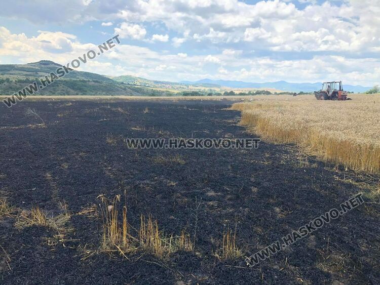 Пожар унищожи 35-40 дка житни посеви