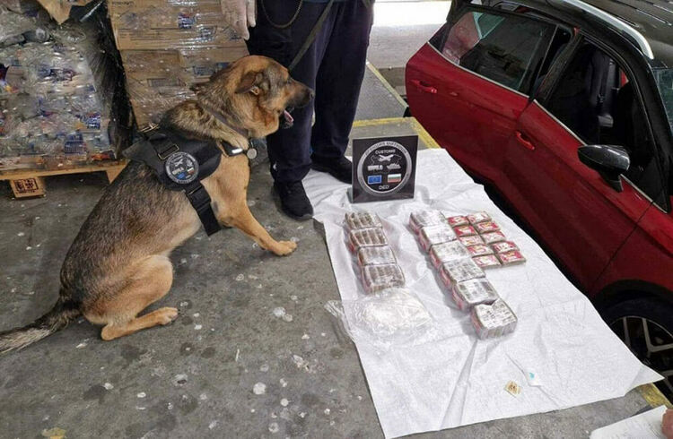 Снимката е илюстративна