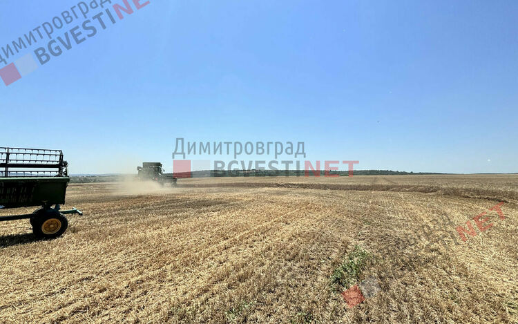 Ритуално зажънване даде старт на жътвата в димитровградско