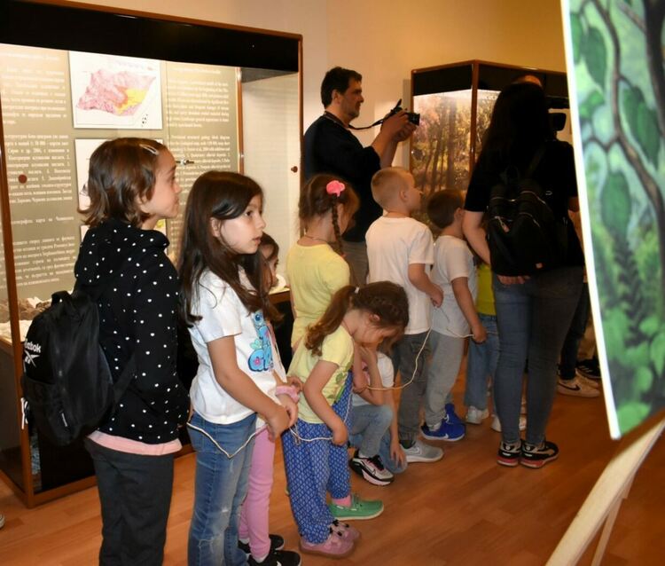 Рисунки на динозаври по научни данни гостуват в Палеонтологичния музей